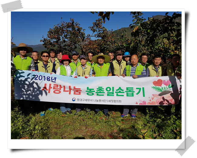 농촌일손돕기 봉사활동