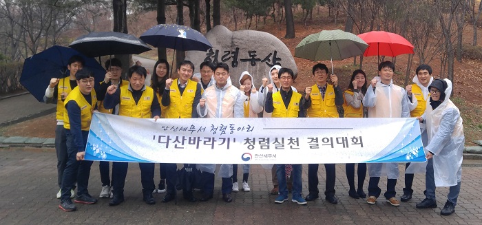 다산바라기